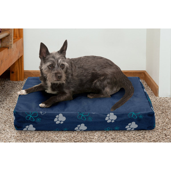 Top paw liner outlet pads